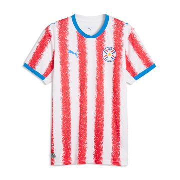 Camiseta Deportiva Puma Original Paraguay Home Blanco Hombre